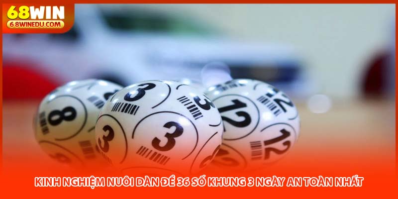 Cái nhìn chung về kinh nghiệm nuôi dàn đề 36 số khung 3 ngày
